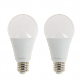 Ampoule LED classique E27 14,2 W 1521 lm blanc chaud 2 pièces XANLITE