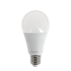 Ampoule LED E27 15W Dimmable – Lumière Neutre | XANLITE