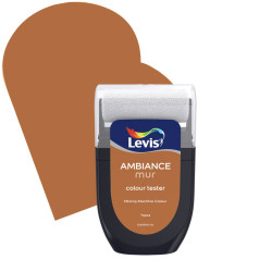 Testeur Peinture Ambiance Tapas – Échantillon Idéal | LEVIS