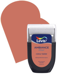 Testeur Peinture Ambiance Grenade – Échantillon Idéal | LEVIS