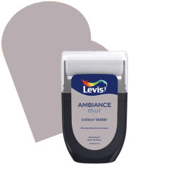 Testeur Peinture Ambiance Bois de Rose – Échantillon Idéal | LEVIS