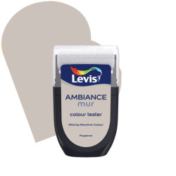 Testeur Peinture Ambiance Flagstone – Échantillon Couleur | LEVIS