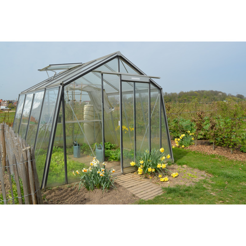 Serre Prestige S104H 9,12 m² ACD - Serre en verre