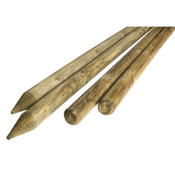 Tuteur épointé Ø 8 x 300 cm SOLID – Support Fiable | SOLID