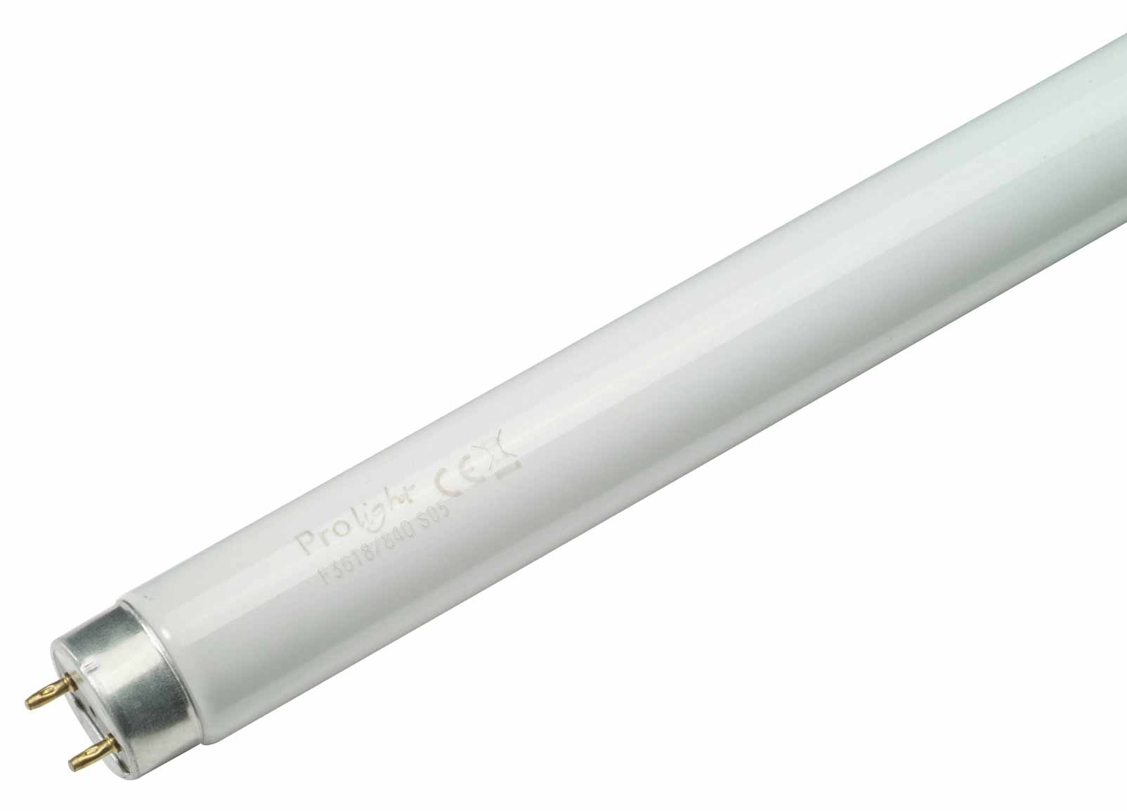 Tube néon T8 36 W 120 cm PROLIGHT