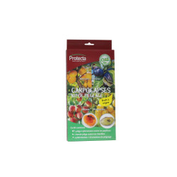 Kit Piégeage Carpocapses – Protégez Vos Fruits | PROTECTA
