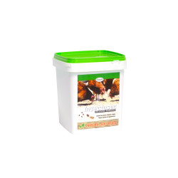 Terre de diatomée pour poulailler Insectosec 2 kg – Anti-insectes | PROTECTA