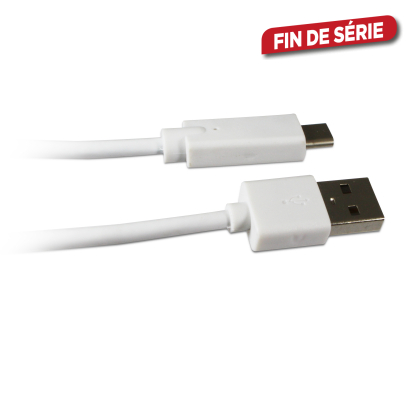 Câble USB C mâle/USB A mâle 1 m