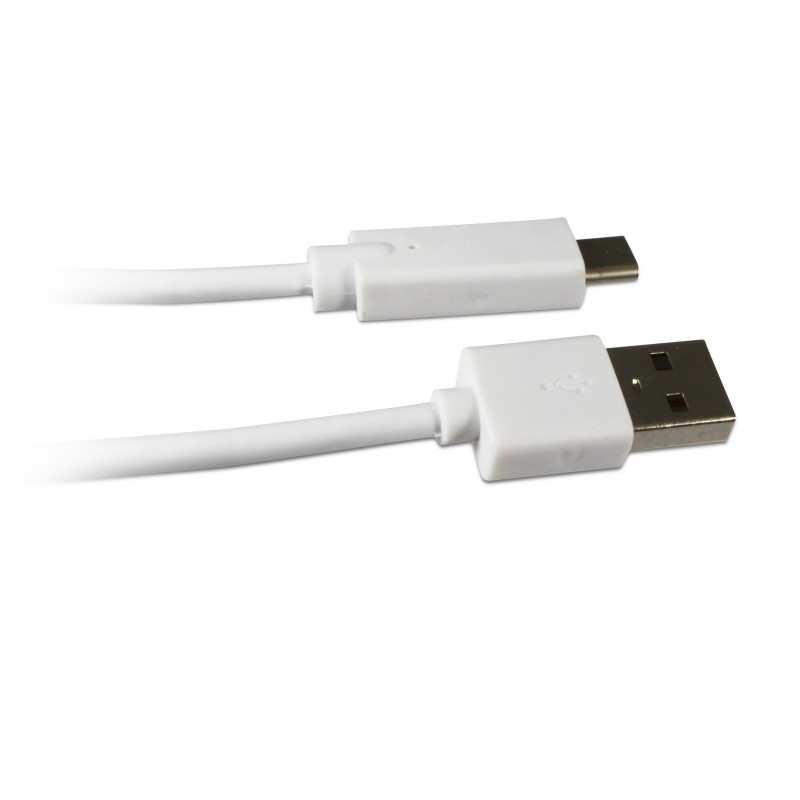 Câble USB C mâle/USB A mâle 1 m