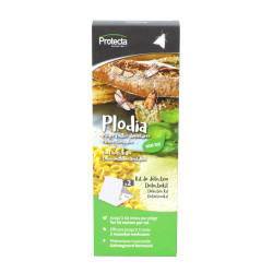 Piège à mites alimentaires Plodia – Élimine les mites | CLAC RADICAL