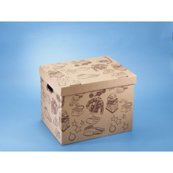 Box de rangement Décor Objet Utilitaire 55 L MOTTEZ