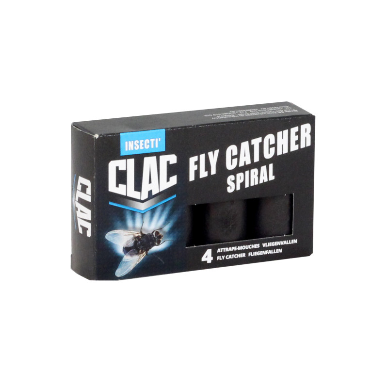 Fly Catcher Spiral