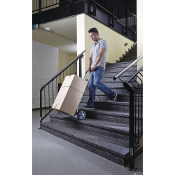 Diable pliant TS850 100 kg – Transport Facile | WOLFCRAFT