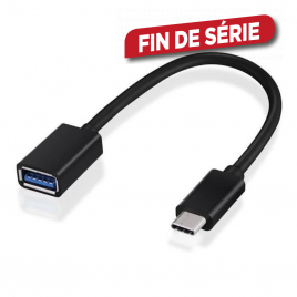 Adaptateur USB C - USB A 20 cm