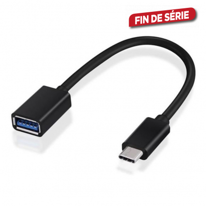 Adaptateur USB C - USB A 20 cm