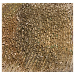 Chevron Épicéa Traité 240cm – Bois Solide Chevron Épicéa Traité 240cm – Bois Solide