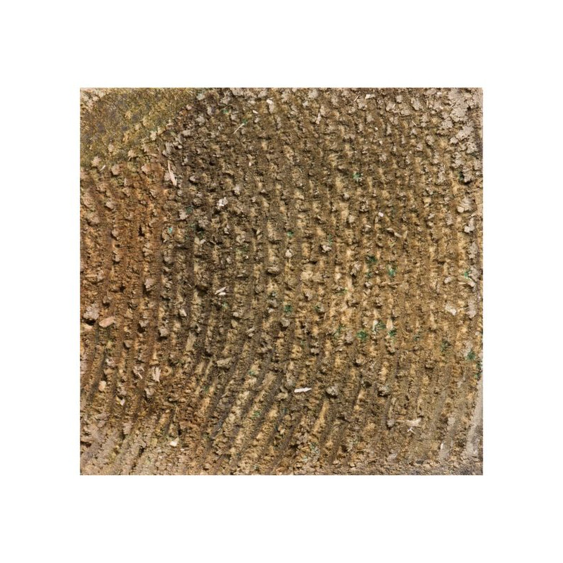 Chevron Épicéa Traité 240cm – Bois Solide Chevron Épicéa Traité 240cm – Bois Solide