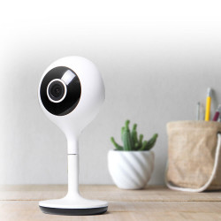 Kit de démarrage domotique avec Google Home mini AVIDSEN Kit de démarrage domotique avec Google Home mini AVIDSEN