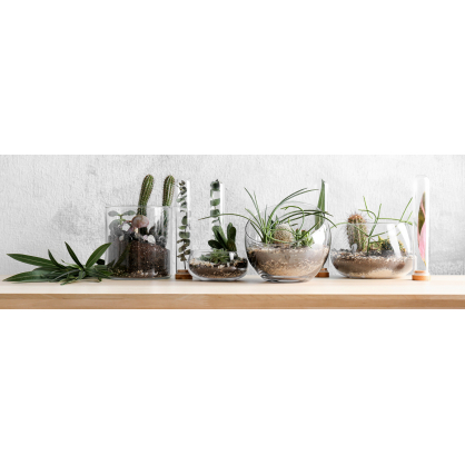 Toile Cactus 97 x 30 cm