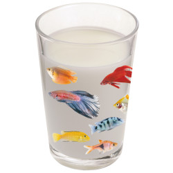 Planche de stickers Poissons tropicaux 2 pièces