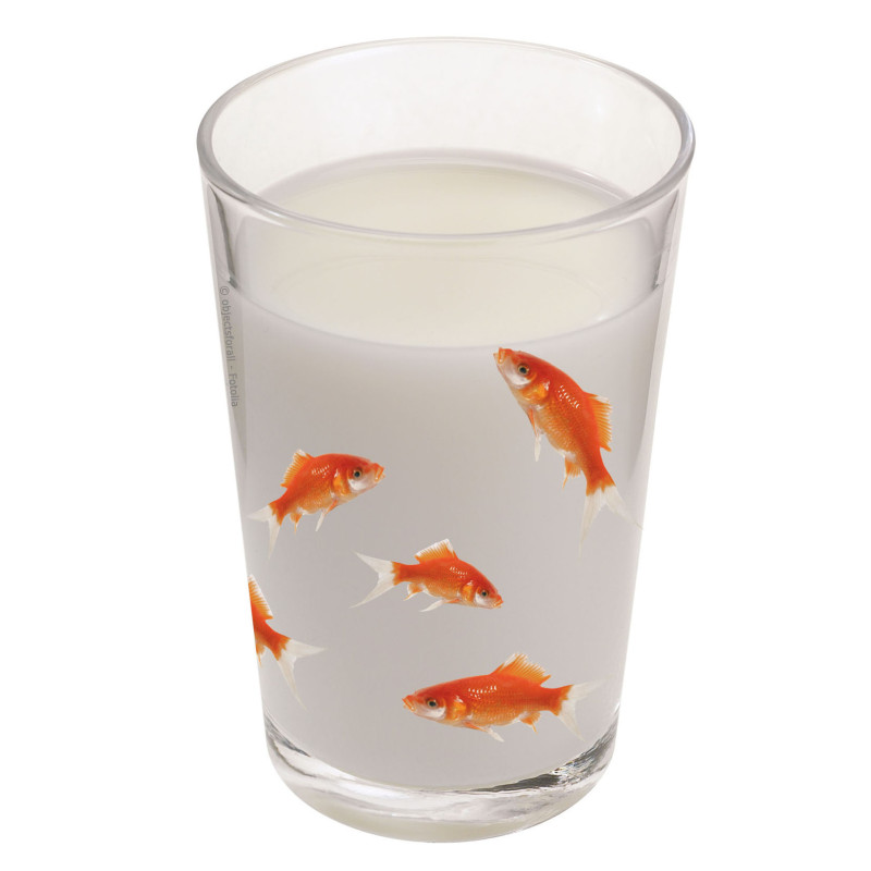 Planche de stickers Poissons rouges 2 pièces