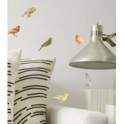 Planche de stickers Canaris 2 pièces Planche de stickers Canaris 2 pièces