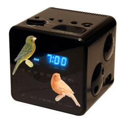 Planche de stickers Canaris 2 pièces Planche de stickers Canaris 2 pièces