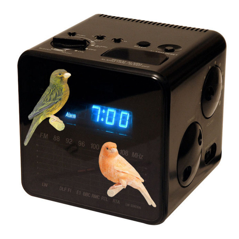 Planche de stickers Canaris 2 pièces Planche de stickers Canaris 2 pièces