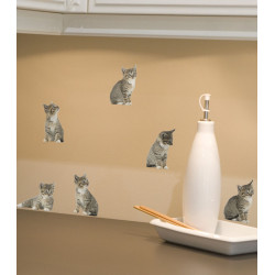 Planche de stickers Chatons 2 pièces Planche de stickers Chatons 2 pièces