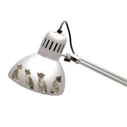 Planche de stickers Chatons 2 pièces Planche de stickers Chatons 2 pièces