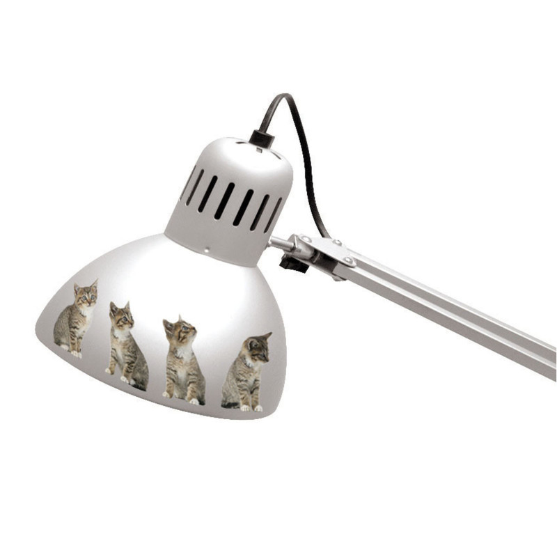 Planche de stickers Chatons 2 pièces Planche de stickers Chatons 2 pièces