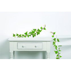 Planche de stickers A4 Lierres 2 pièces Planche de stickers A4 Lierres 2 pièces