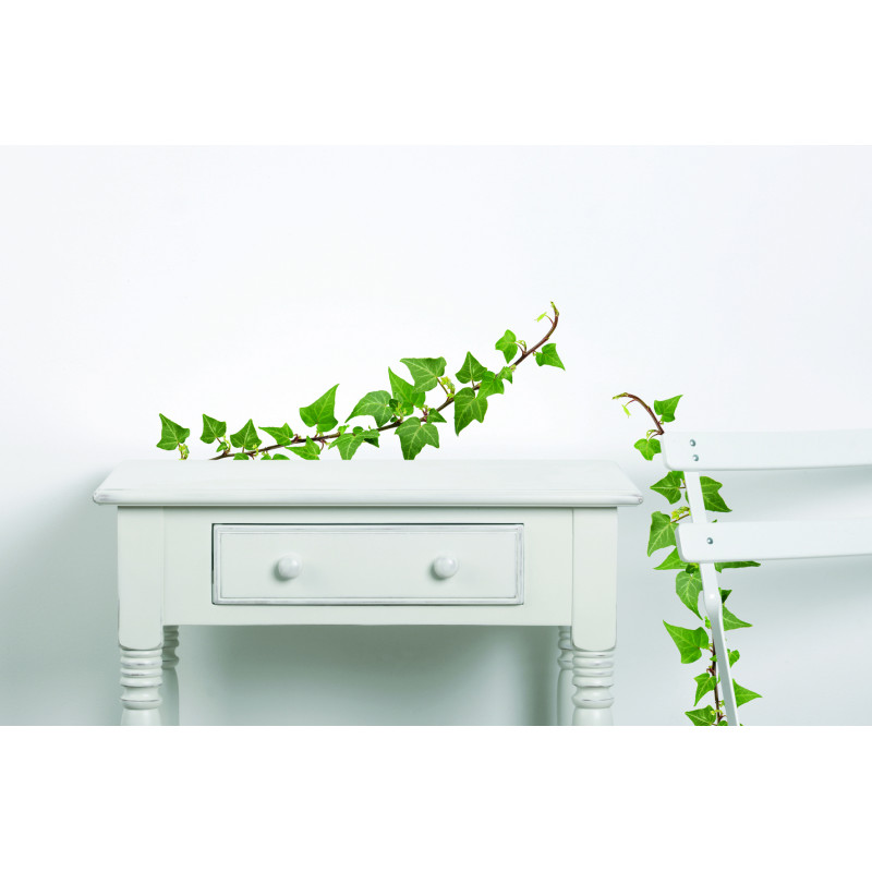 Planche de stickers A4 Lierres 2 pièces Planche de stickers A4 Lierres 2 pièces