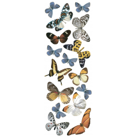 Planche de stickers Papillons