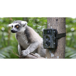 Caméra de surveillance nature 5 MP TX-69 Caméra de surveillance nature 5 MP TX-69