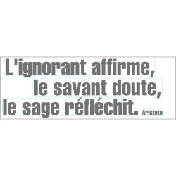 Sticker Citation Aristote 68 x 24 cm