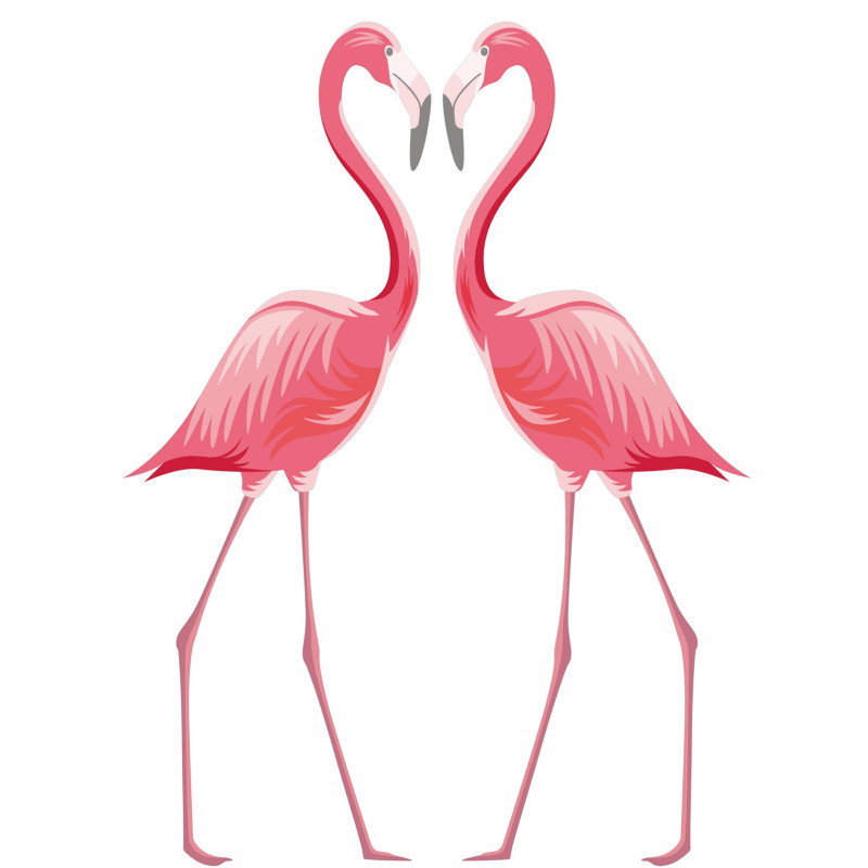 Sticker Flamants Roses 48 x 68 cm