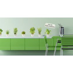 Planche de stickers Plantes aromatiques 48 x 68 cm