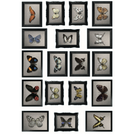 Planche de stickers Cadres de Papillons 48 x 68 cm