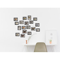 Planche de stickers Cadres de Papillons 48 x 68 cm Planche de stickers Cadres de Papillons 48 x 68 cm