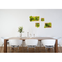 Planche de stickers Cadres du Jardin 48 x 68 cm