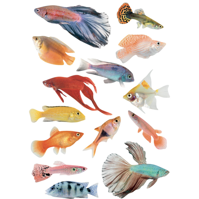 Planche de stickers électrostatiques Poissons Tropicaux