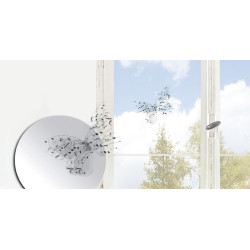 Planche de stickers 3D Papillons transparents