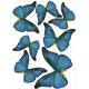 Planche de stickers 3D Papillons Cobalt