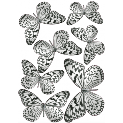 Planche de stickers 3D Papillons noirs et blancs