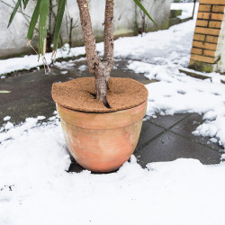 Disque de paillis en coco Ø 40 cm – Protection naturelle | CONMETALL MEISTER Disque de paillis en coco Ø 40 cm – Protection naturelle | CONMETALL MEISTER