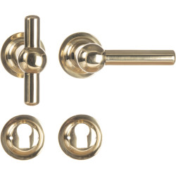 Poignée de porte Laiton Poli – Design Élégant | LINEA BERTOMANI

