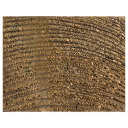 Chevron épicéa traité 240cm – Bois résistant pour vos projets
 Chevron épicéa traité 240cm – Bois résistant pour vos projets