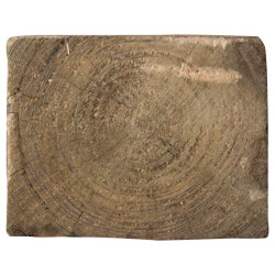 Chevron Épicéa Traité 300cm – Construction Robuste
 Chevron Épicéa Traité 300cm – Construction Robuste