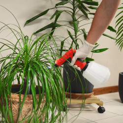 Vaporisateur sur batterie 3,6 V 1 L ELEM GARDEN TECHNIC